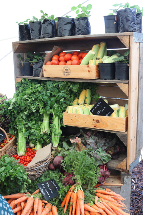 The Four Pillars of Sustainability – why should you care?