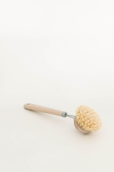 Florence Dish Brush 50mm